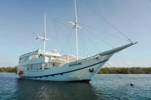 Mosalaki
