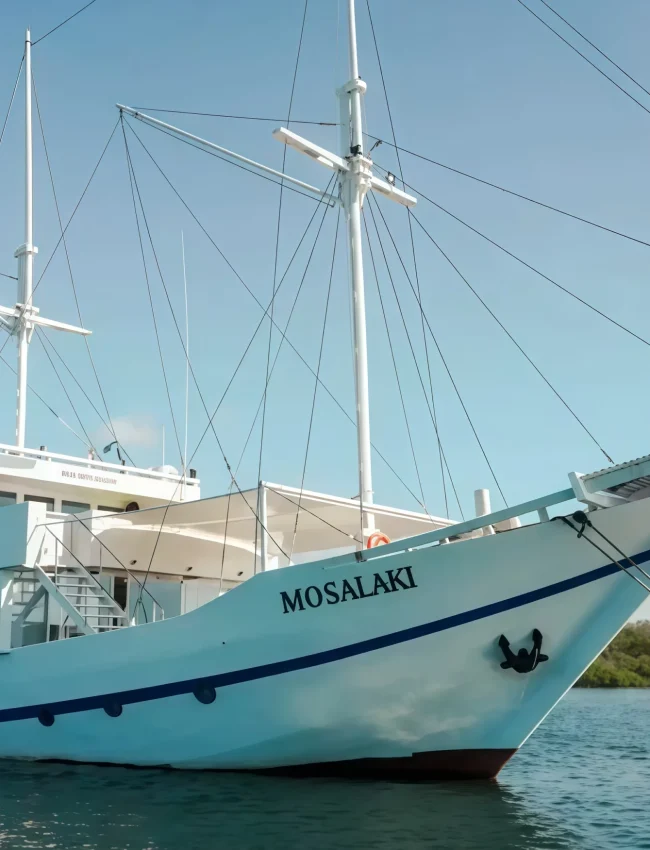Phinisi Mosalaki Komodo