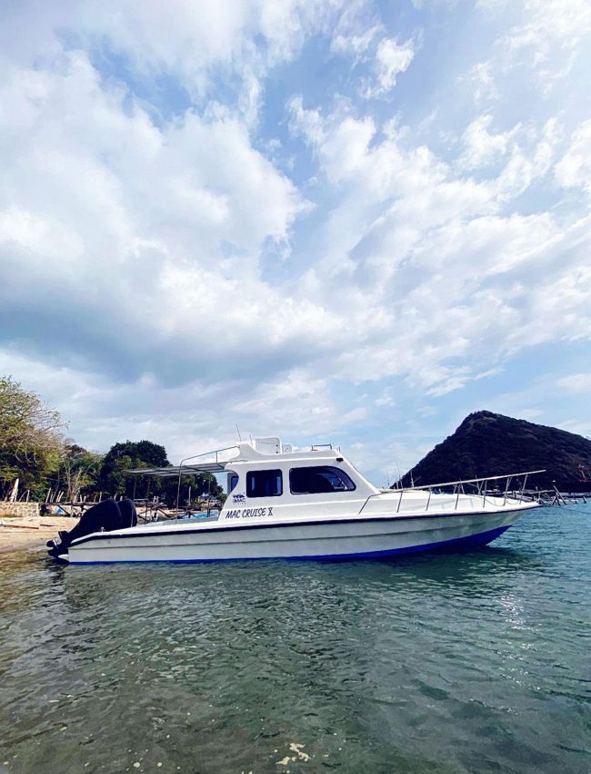 SPEED BOAT KOMODO DAY TRIP
