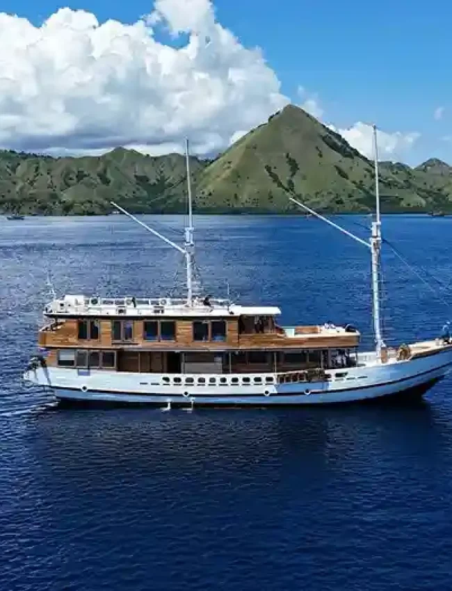 phinisi raffles cruise komodo