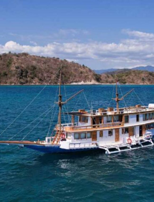 OPEN TRIP KOMODO PHINISI RAJA BINTANG