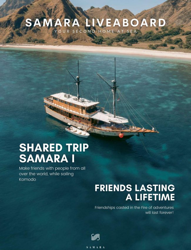 Shared boat Komodo Liveonboard 4days 3Night