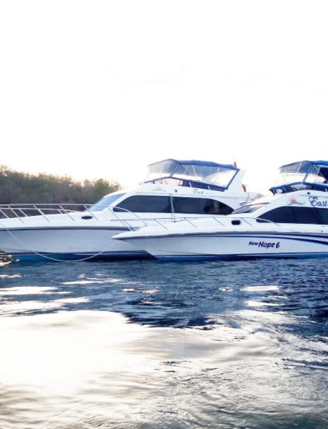 ONE DAY TRIP KOMODO BY SPEED BOAT