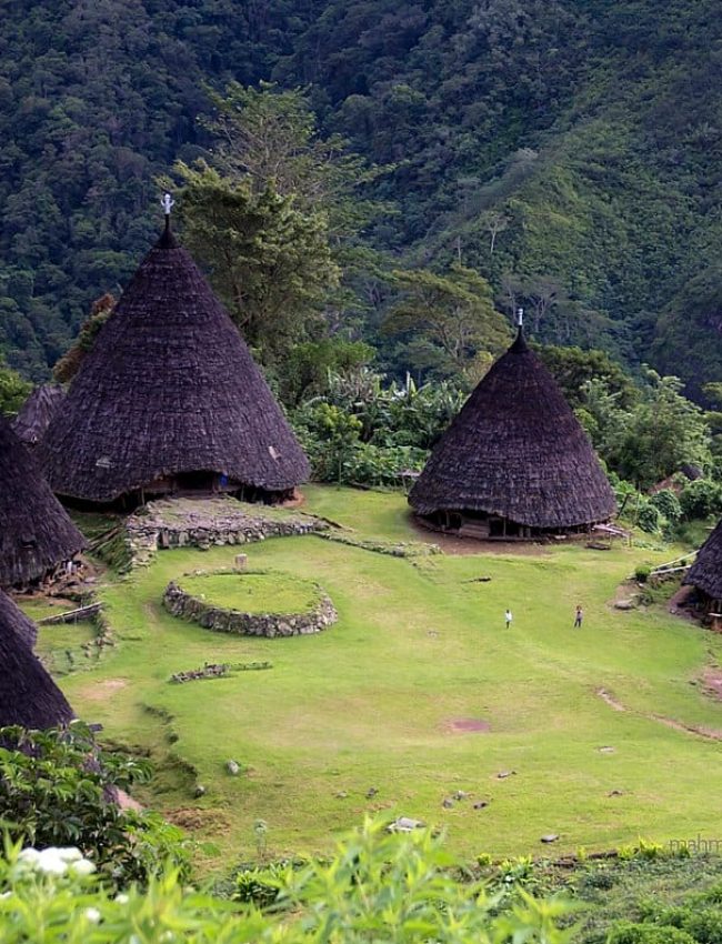 wae rebo