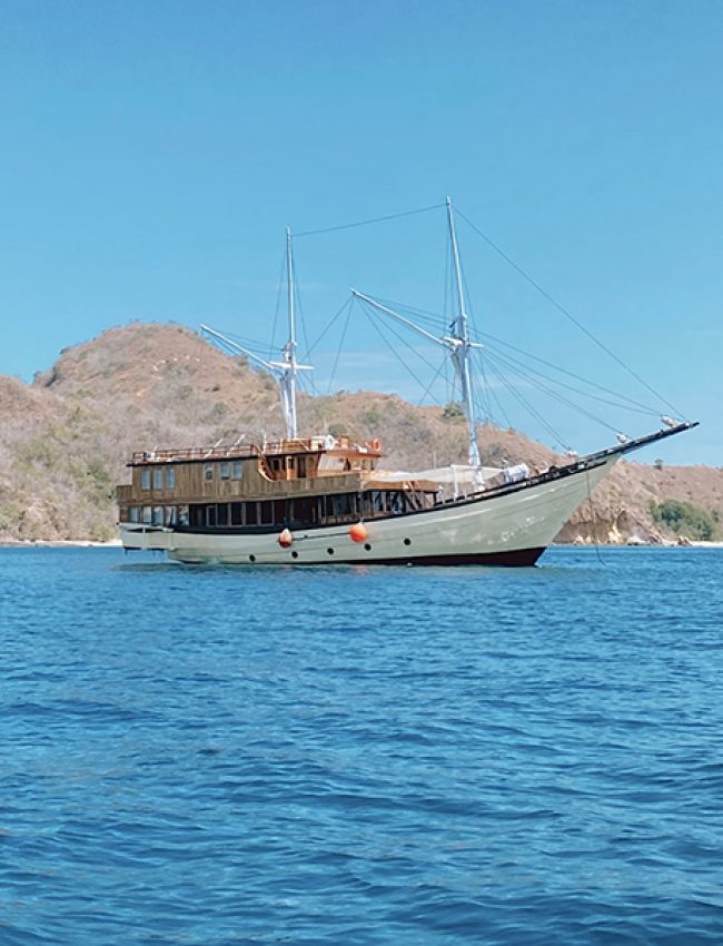 Shared Boat Komodo 3 days 2 Night Phinisi Leticia Luxury